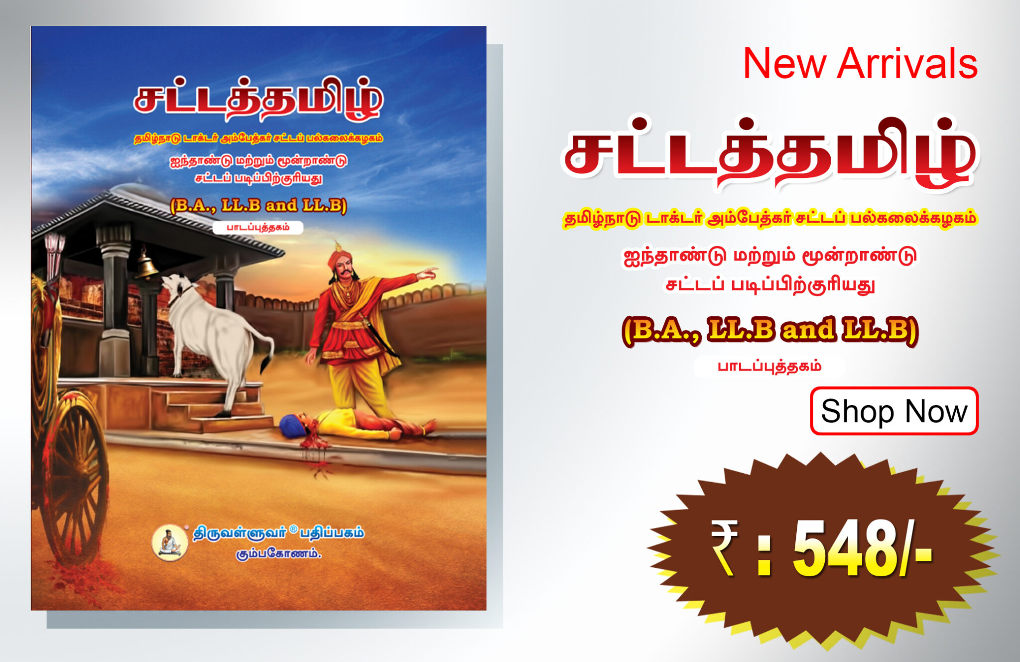 WEB-addvertisement-copy